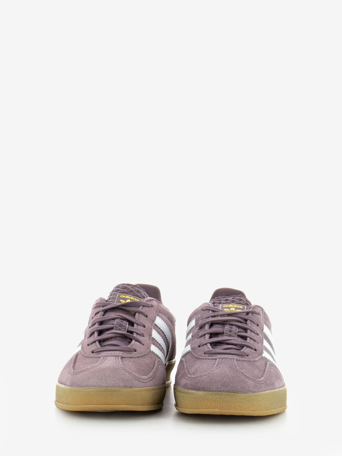 Gazzelle Indoor W viola