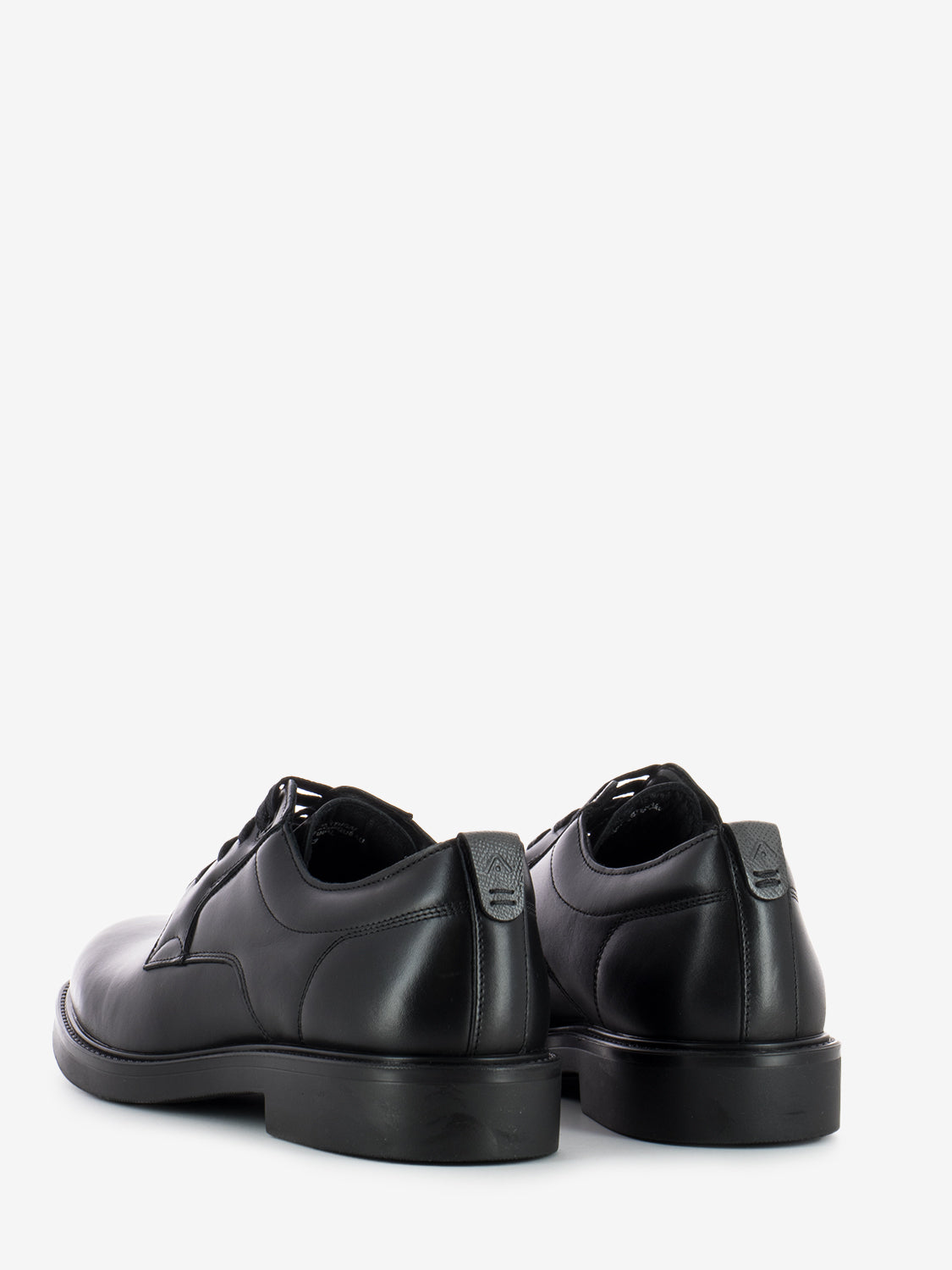 Scarpa derby Pinka black