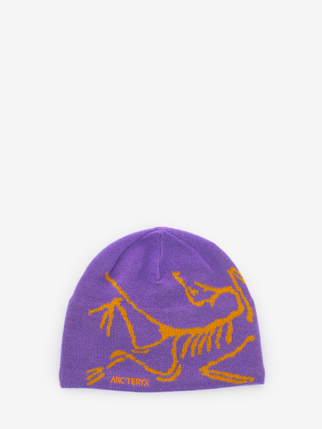 Bird Head Toque aster / blaze