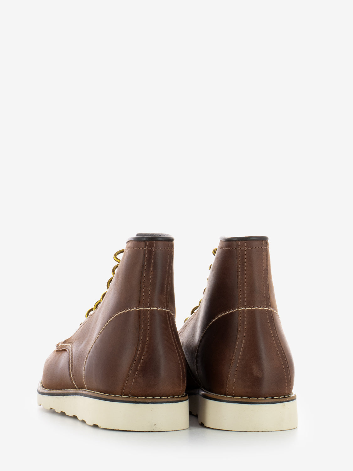 Polacco Bross cuoio Rodeo Texas