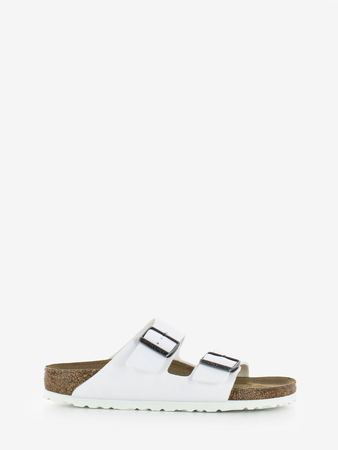 Arizona BS white