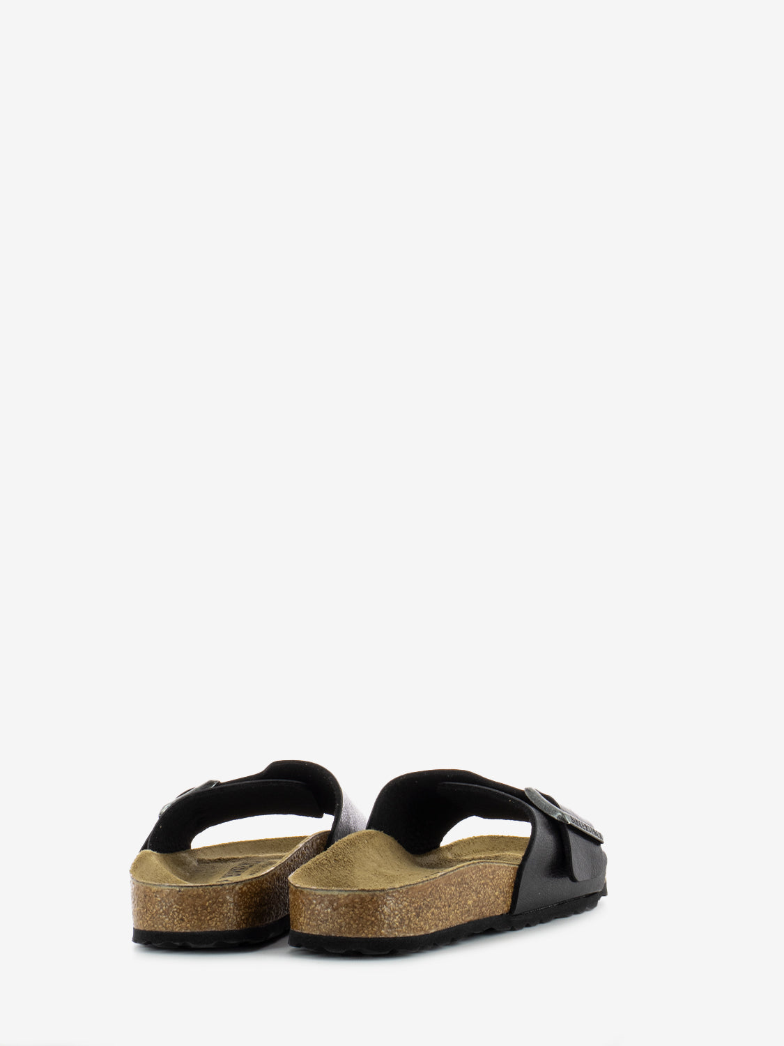 Catalina BS graceful licorice