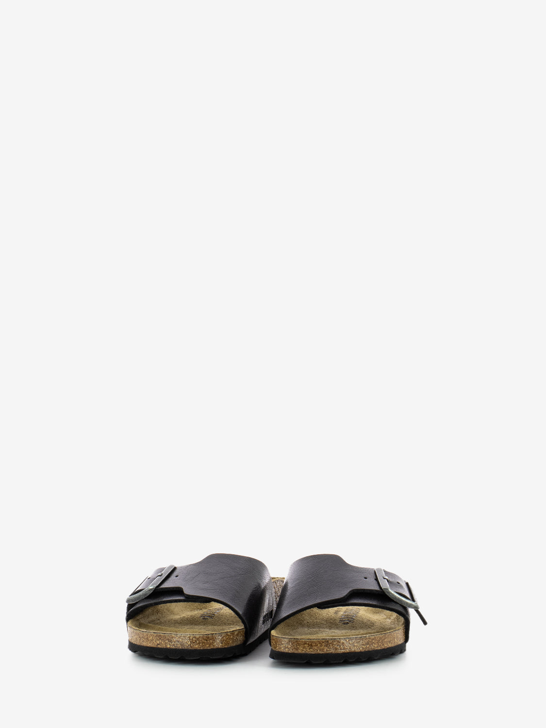 Catalina BS graceful licorice
