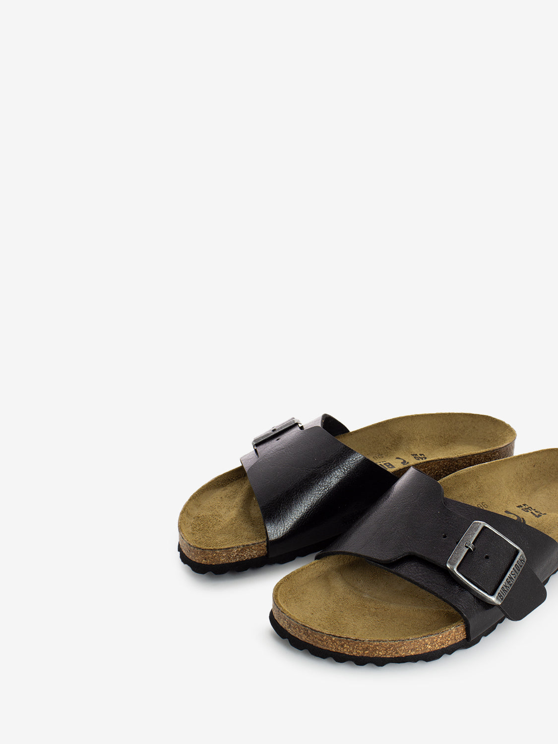 Catalina BS graceful licorice