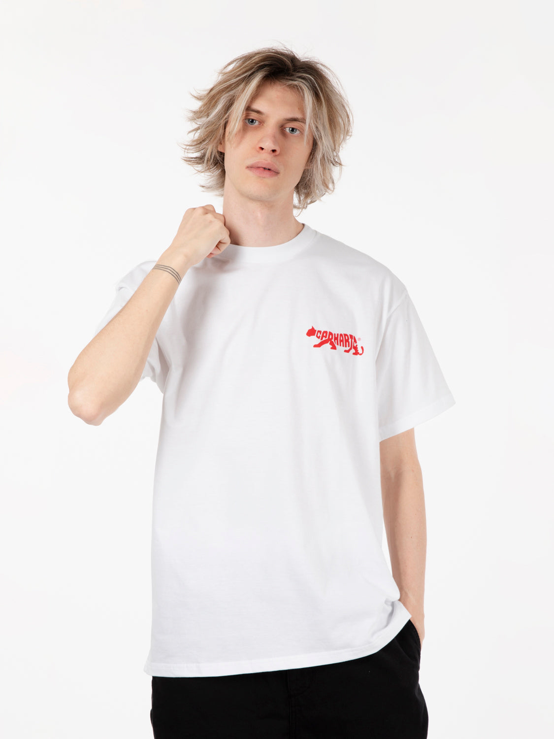 ★2024SS新作★CARHARTT★S/S ROCKY T-SHIRT S/S Rocky T-Shirt – Premier