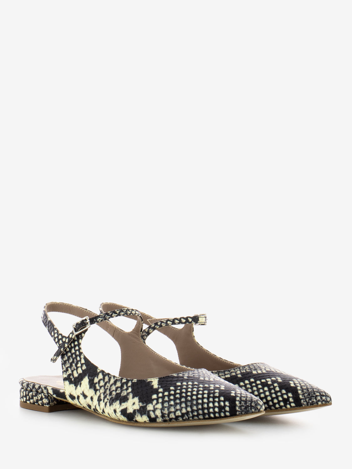 Alma Python Pointed Ballerina