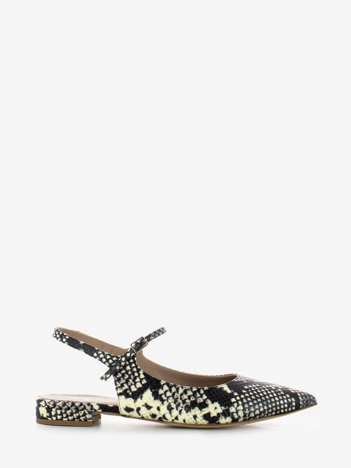Alma Python Pointed Ballerina