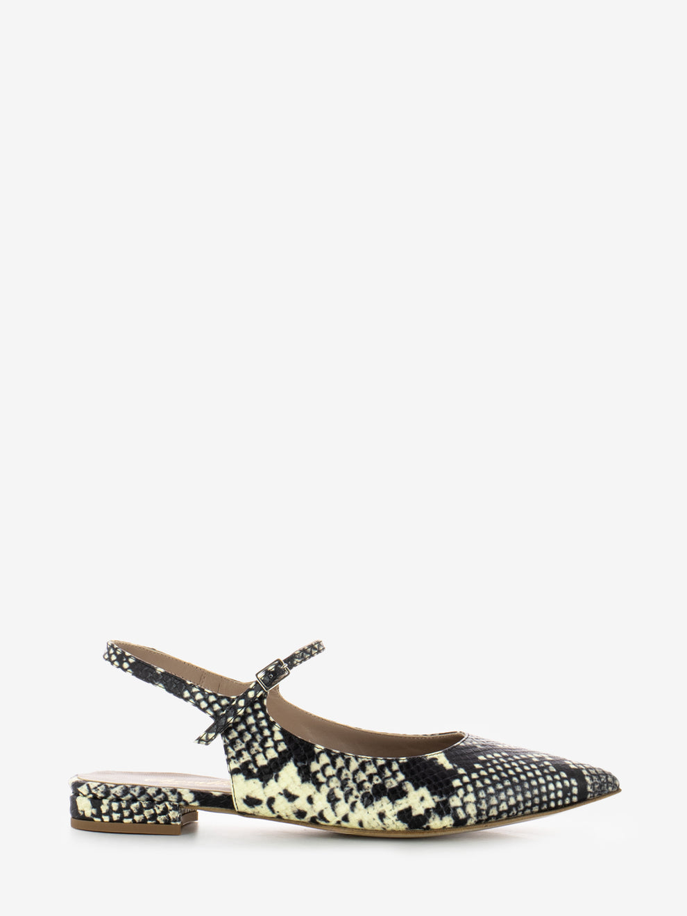 Alma Python Pointed Ballerina
