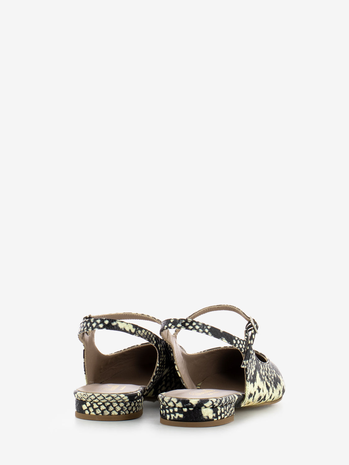 Alma Python Pointed Ballerina