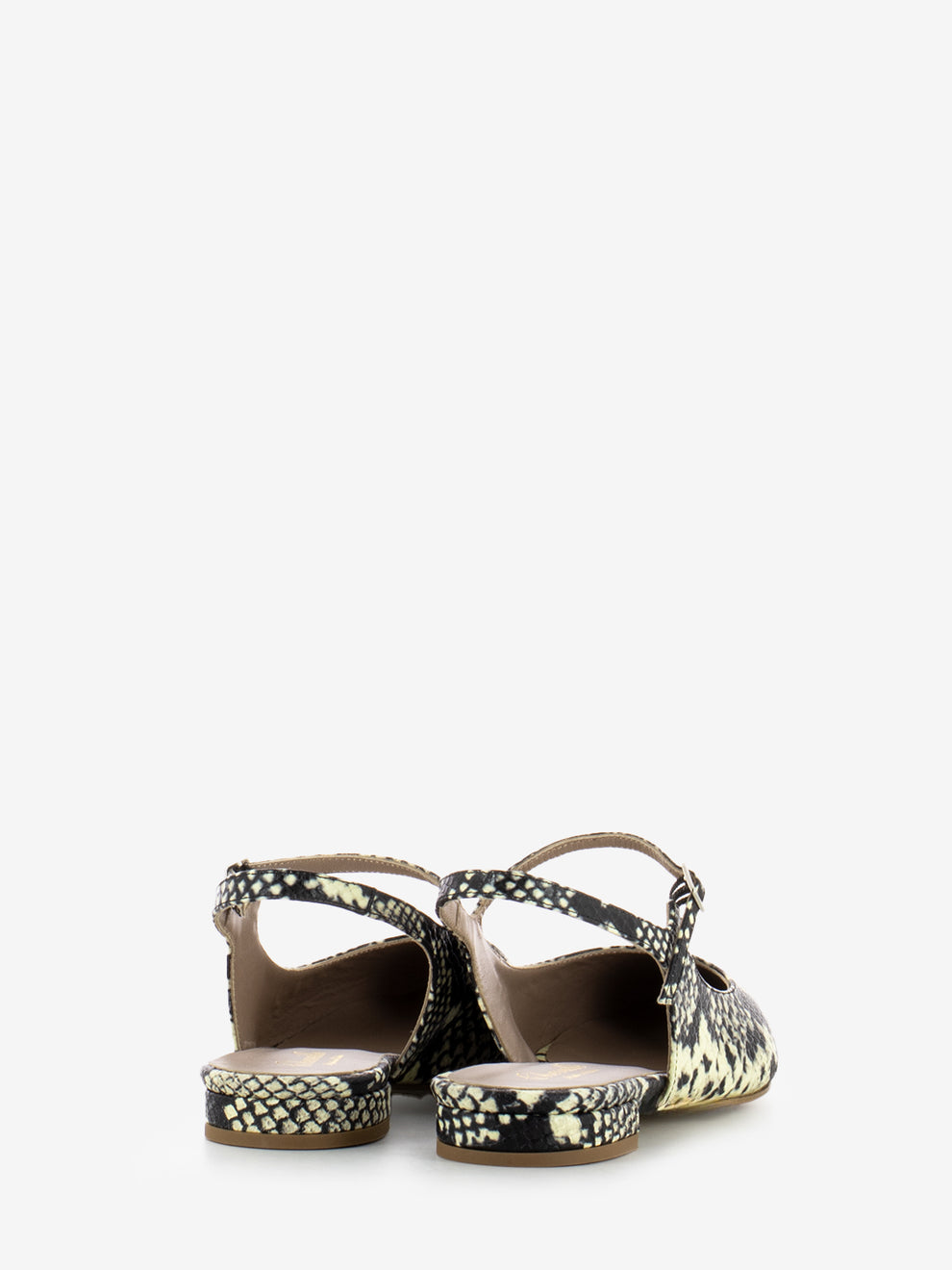 Alma Python Pointed Ballerina