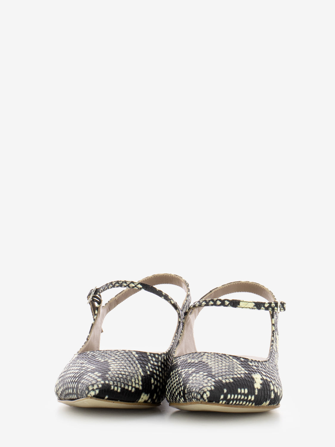 Alma Python Pointed Ballerina