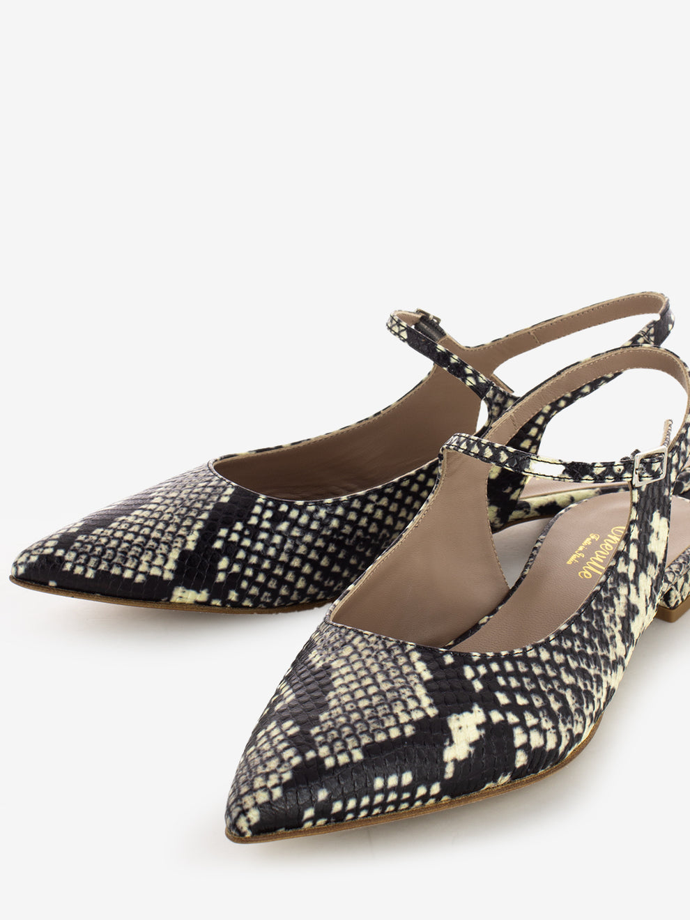 Alma Python Pointed Ballerina