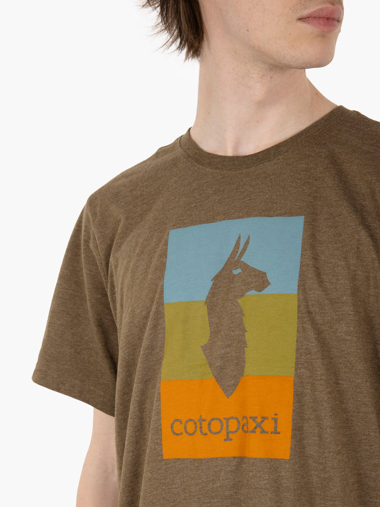 COTOPAXI - T-shirt llama block live oak
