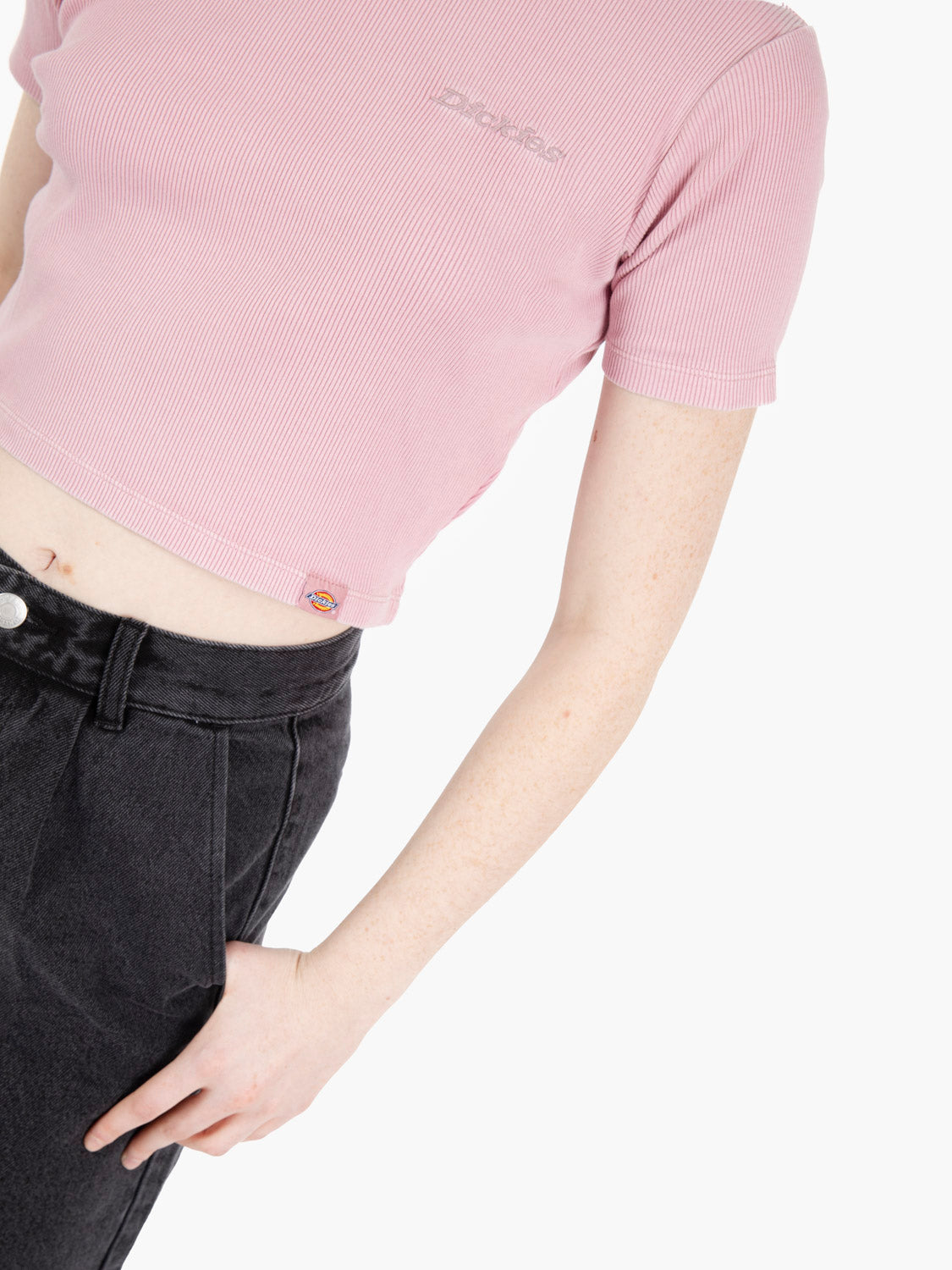 Plentywood tee S/S lilas