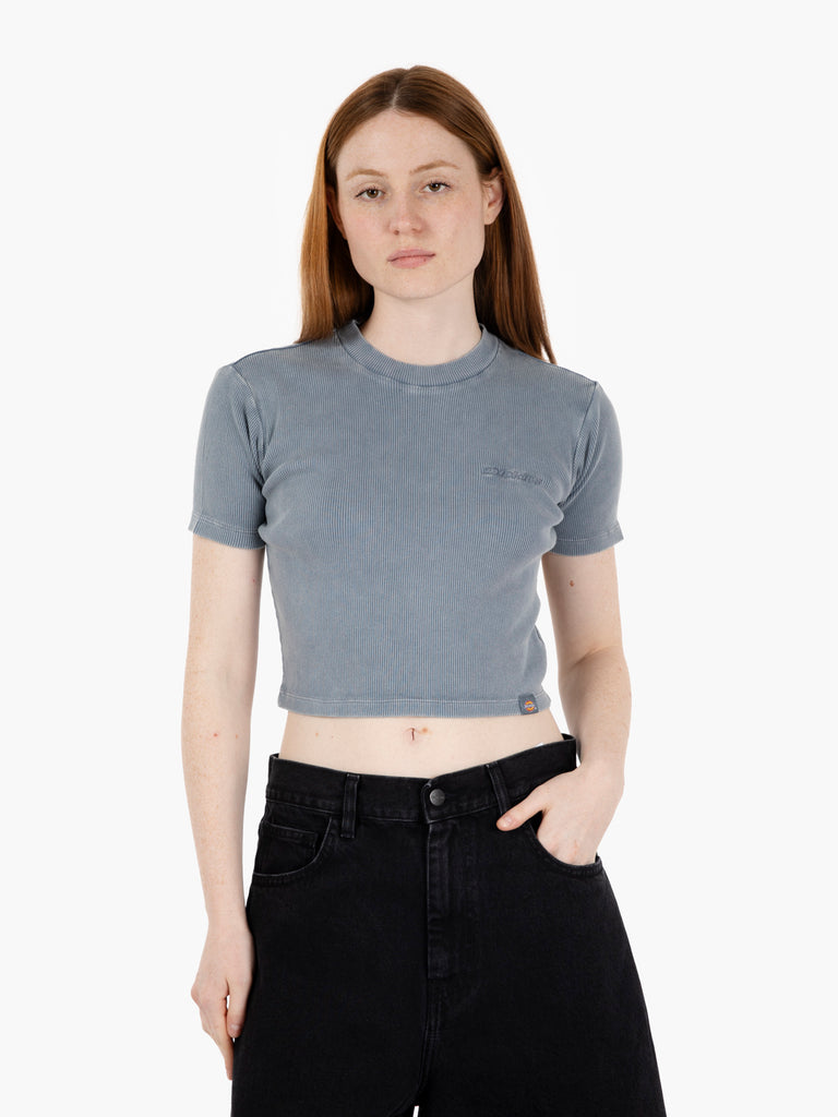 DICKIES - Plentywood tee S/S stormy weather