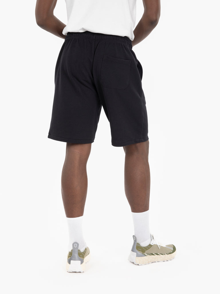 DICKIES - Shorts Mapleton black