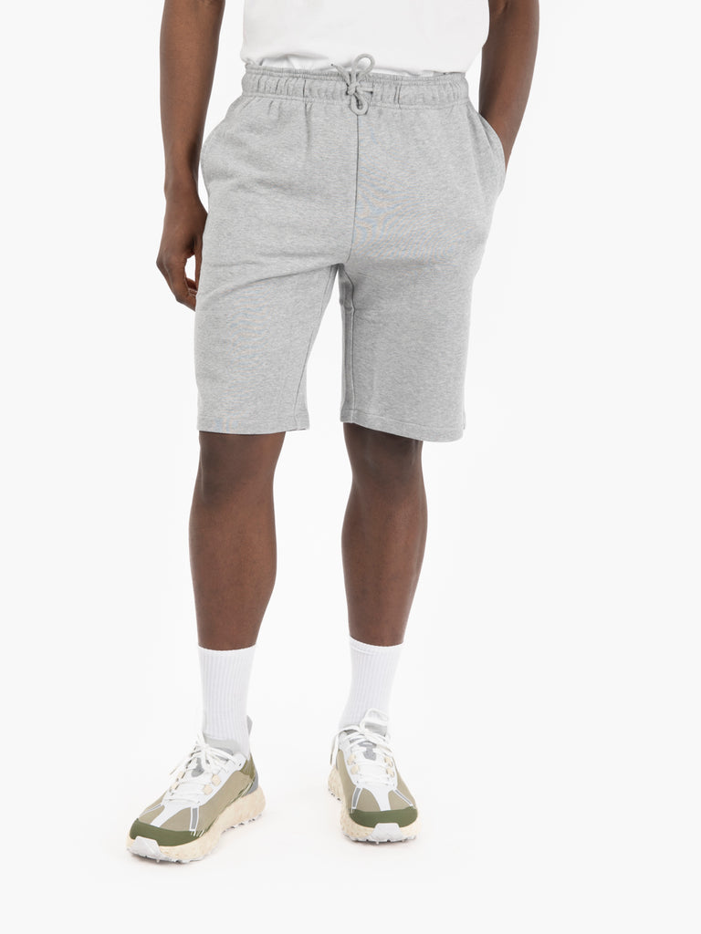 DICKIES - Shorts Mapleton grey melange