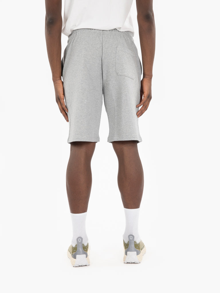 DICKIES - Shorts Mapleton grey melange