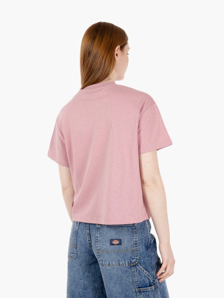 DICKIES - T-shirt Oakport boxy SS lilas