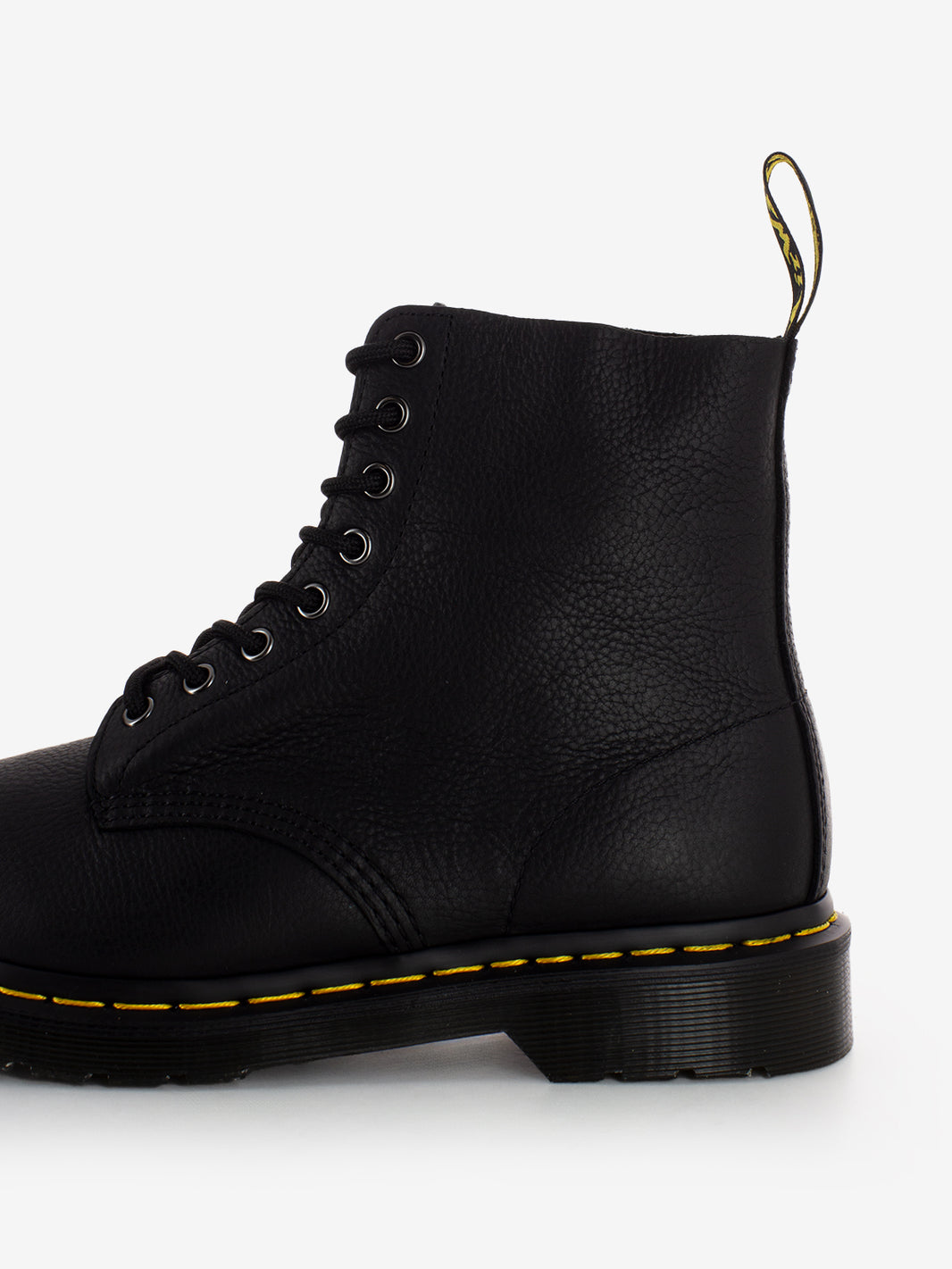 Pascal ambassador black amphibians