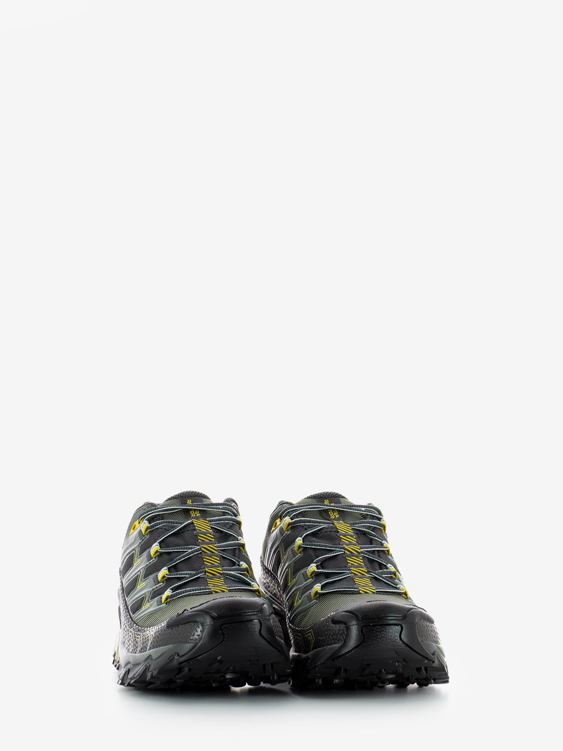 Sneakers Ultra Raptor II gtx carbon / moss