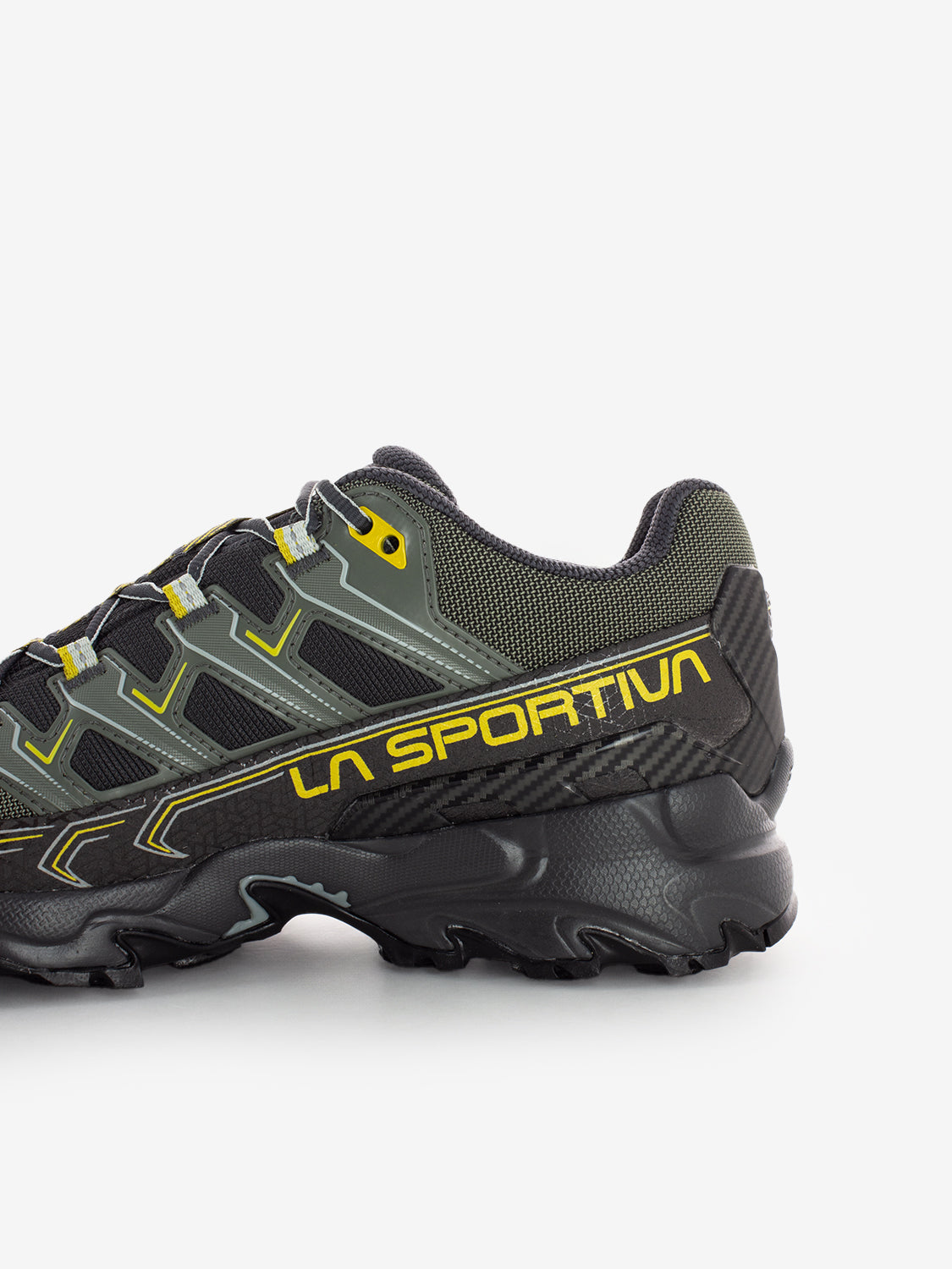 Sneakers Ultra Raptor II gtx carbon / moss