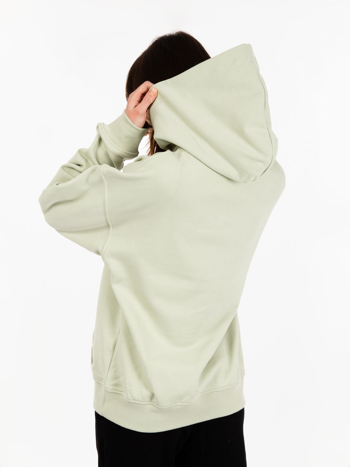 Aloe Green Hoodie
