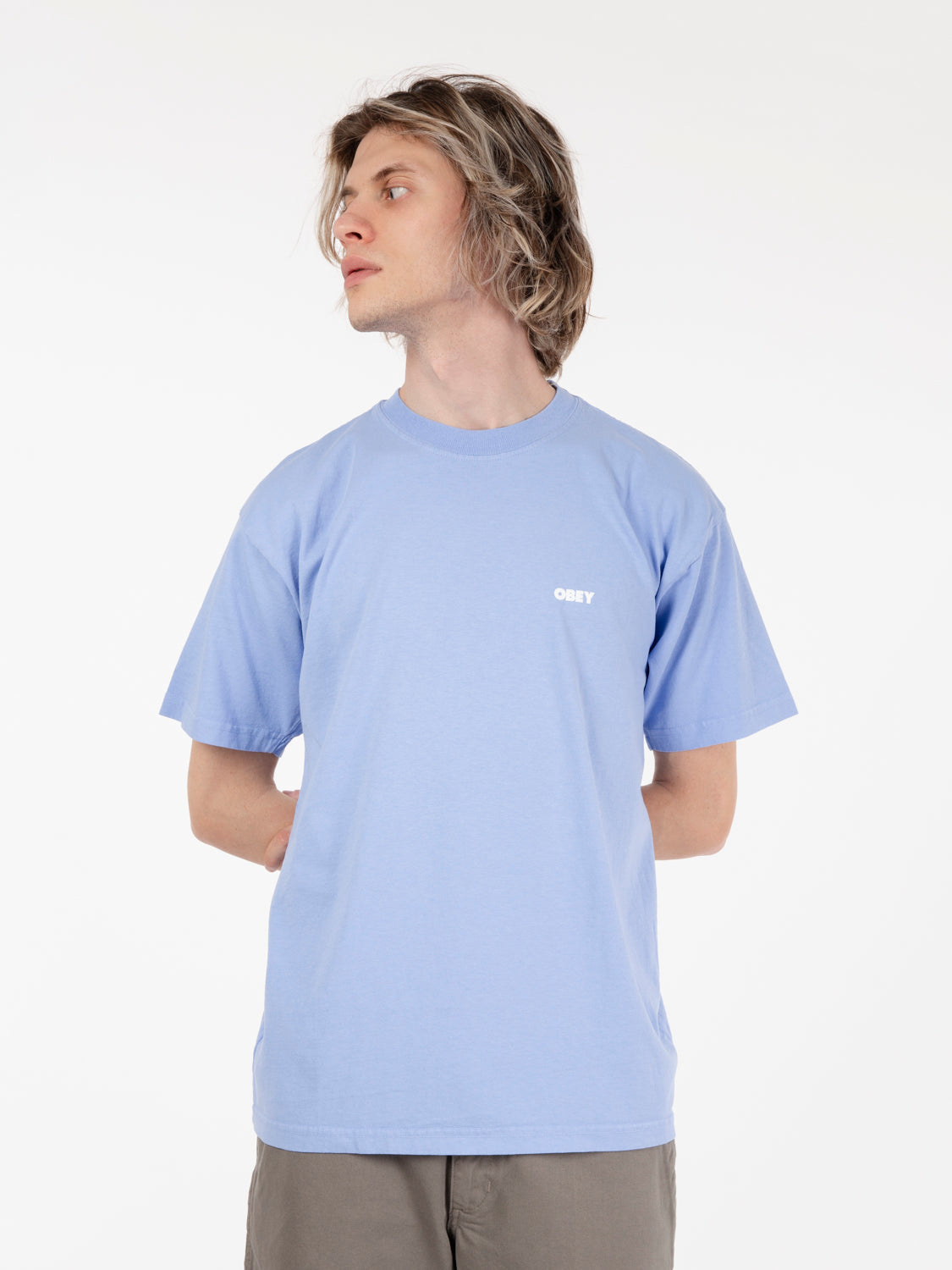 Classic bold hydrangea t-shirt