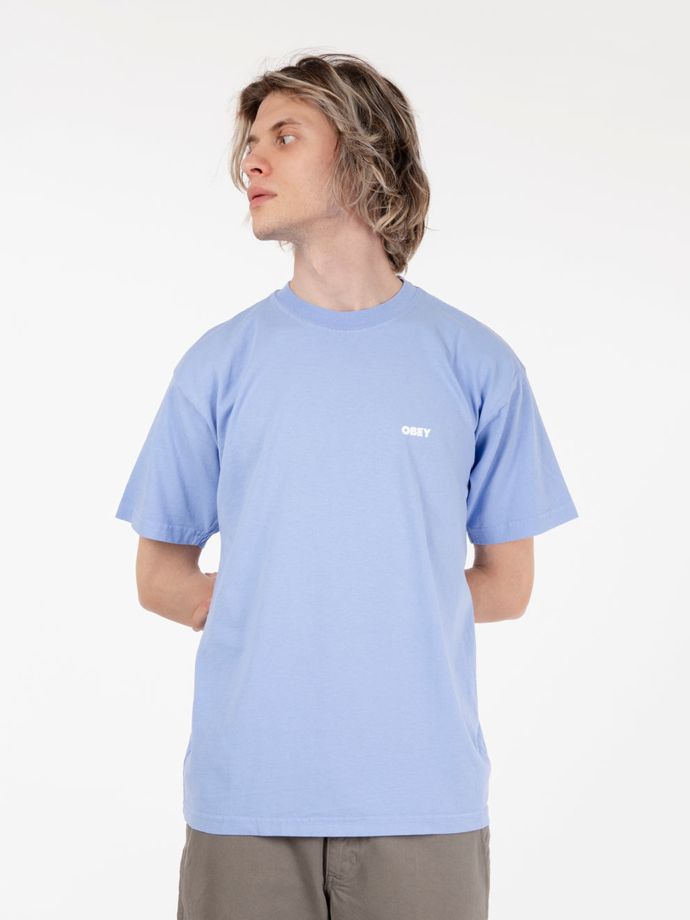 Classic bold hydrangea t-shirt