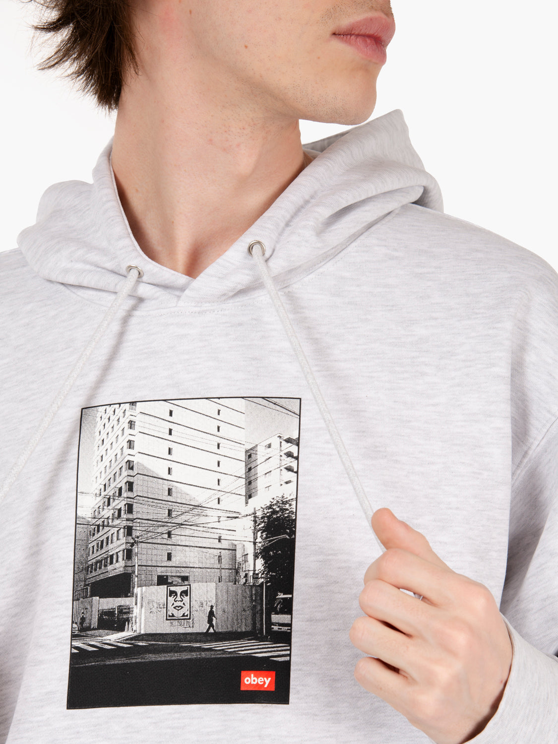 Felpa hooded Osaka photo fleece grey