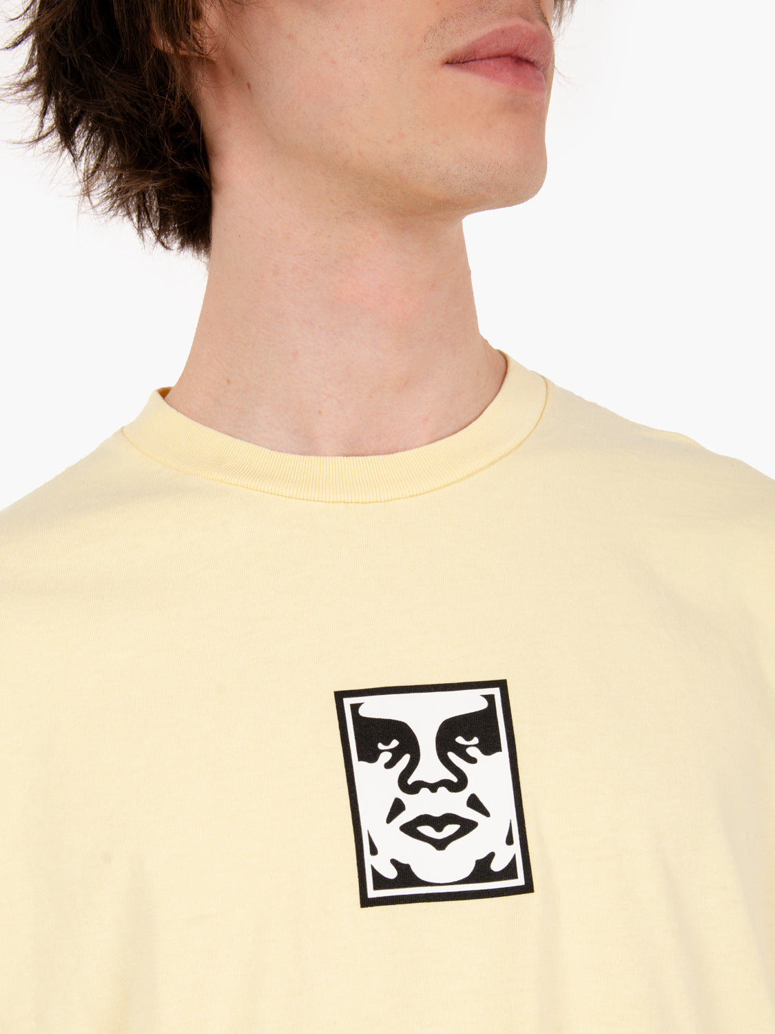 Icon Face Tee Pigment Anise Flower