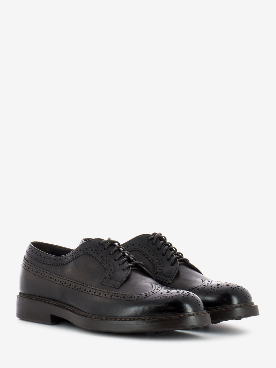 Derby swallowtail dark brown