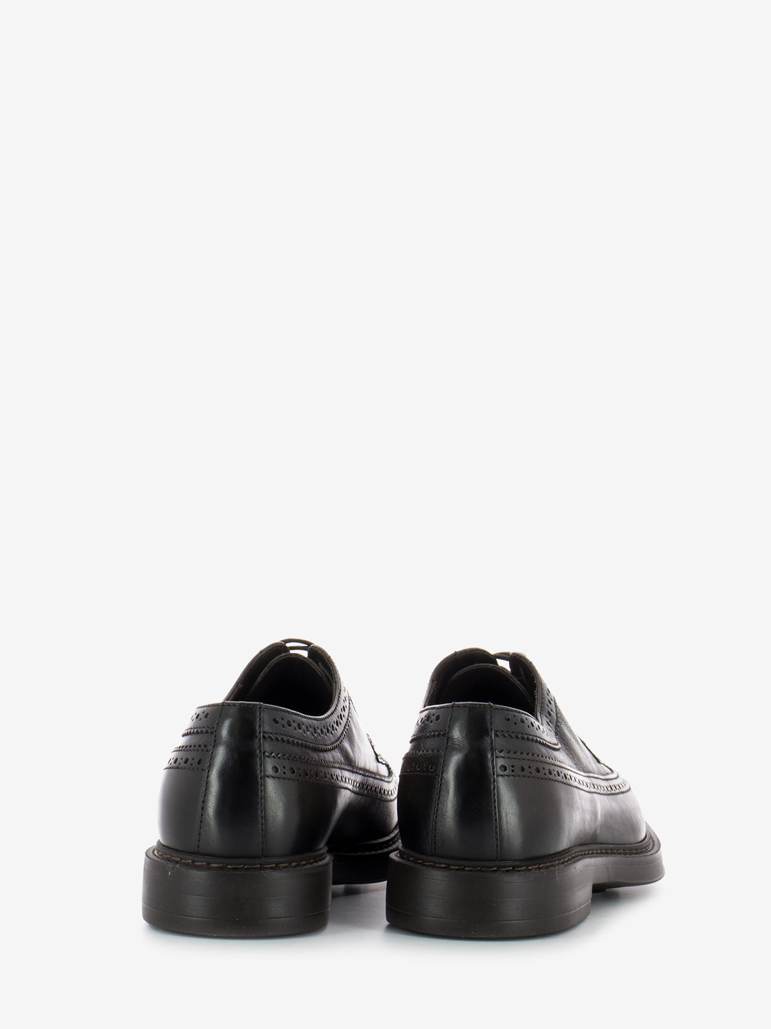 Derby swallowtail dark brown