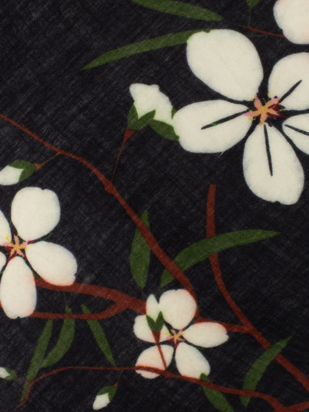 Pashmina Silas floreale nero / multicolor