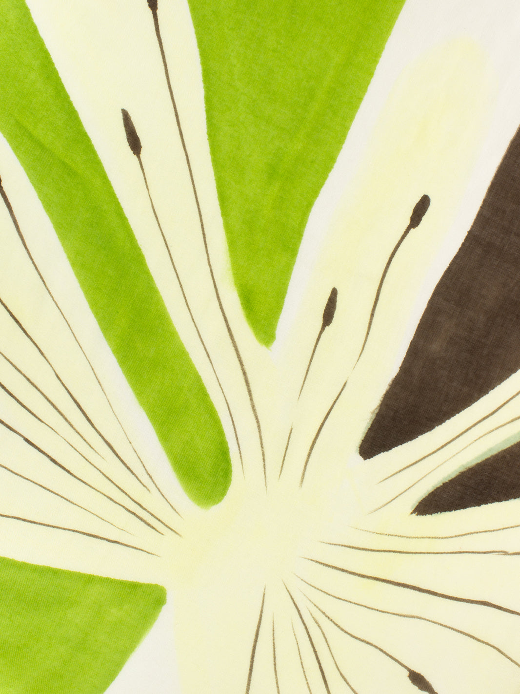 Sciarpa Davoli con stampe verde / beige