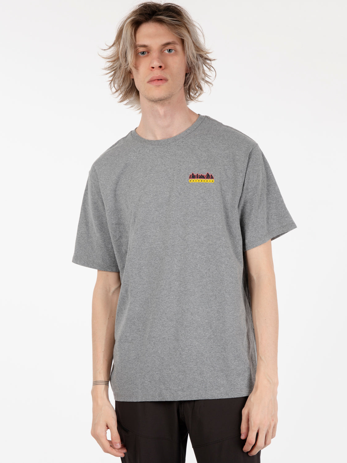 Fitz Roy wild tee grey