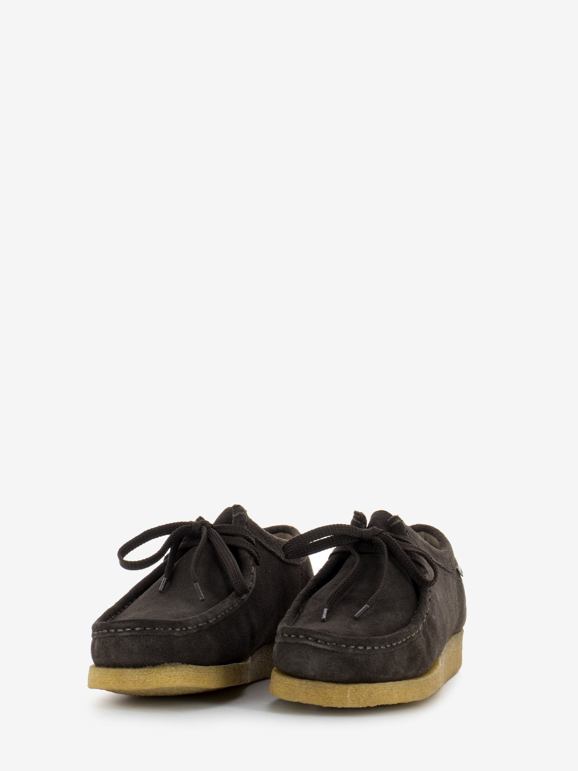 Koala low brown gum