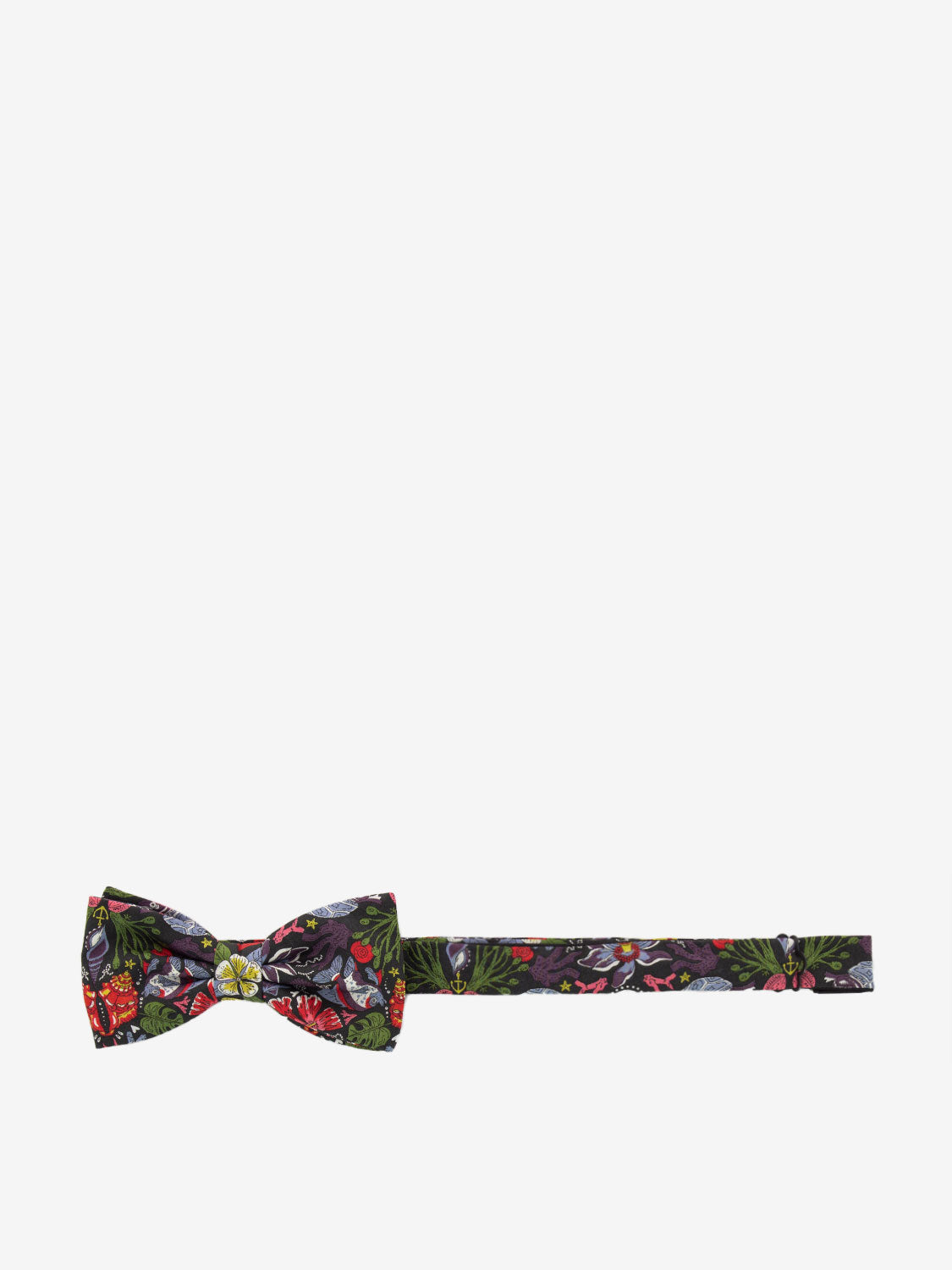 Papillon turtle thief multicolor