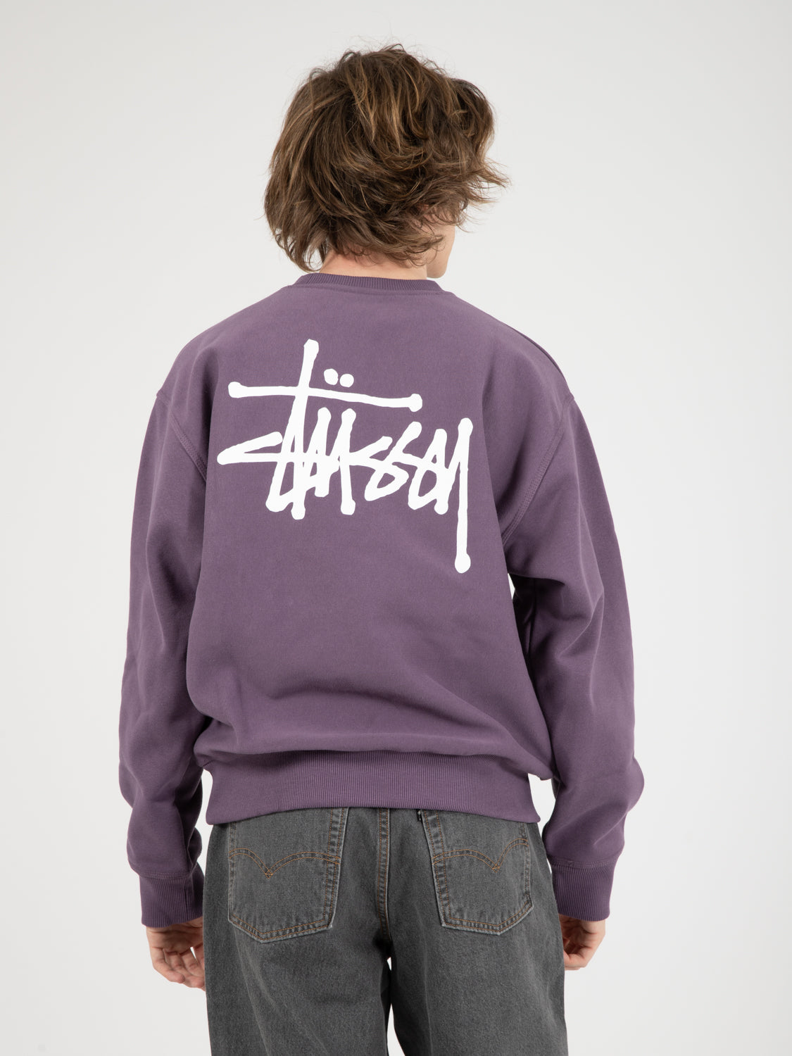 Basic Stussy Crew Grape