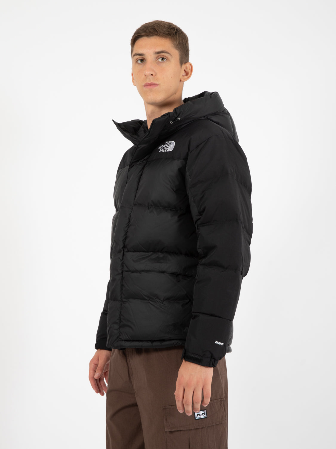 Himalayan Down parka TNF black
