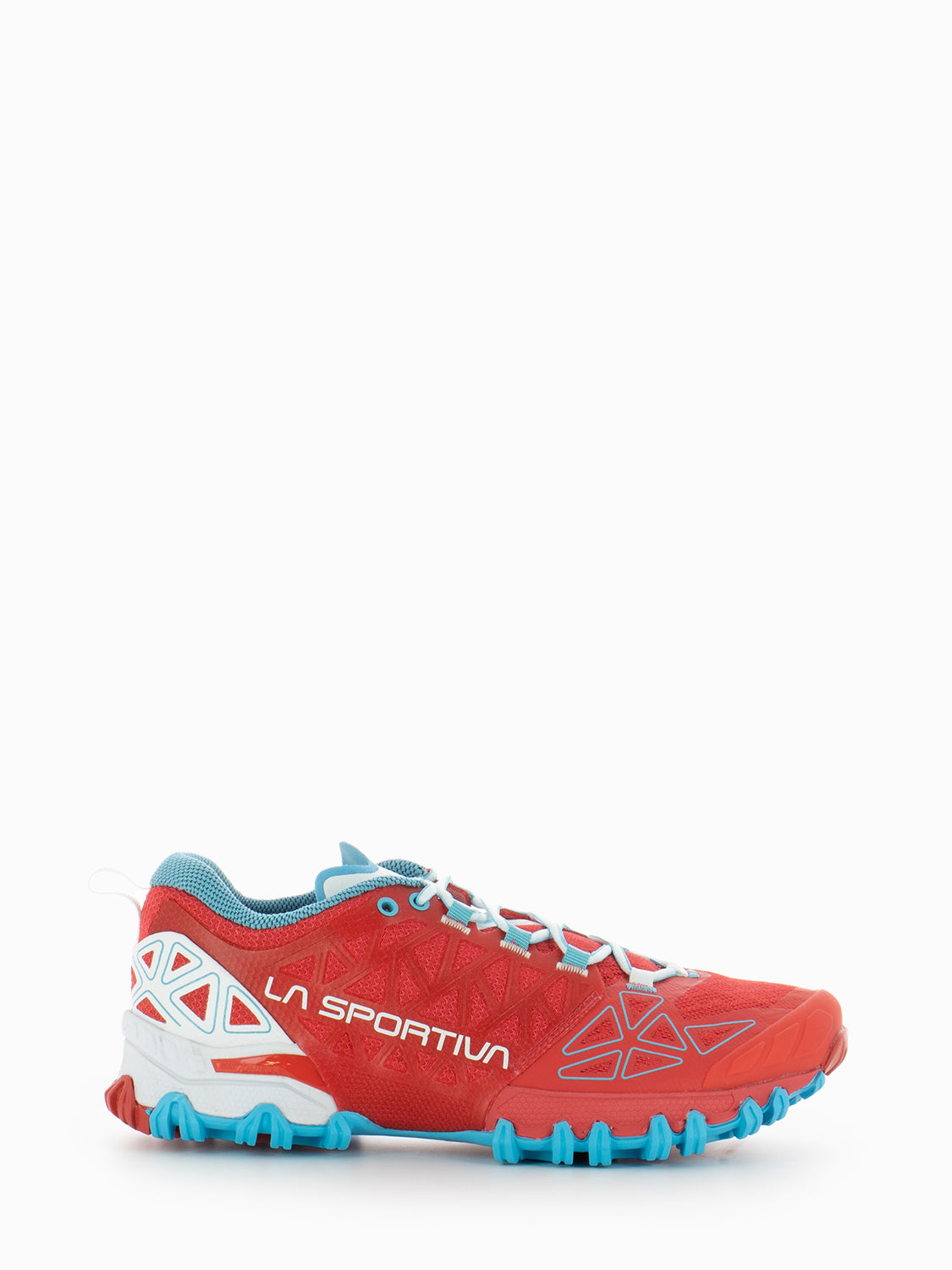 Bushido II Woman hibiscus / malibu blue