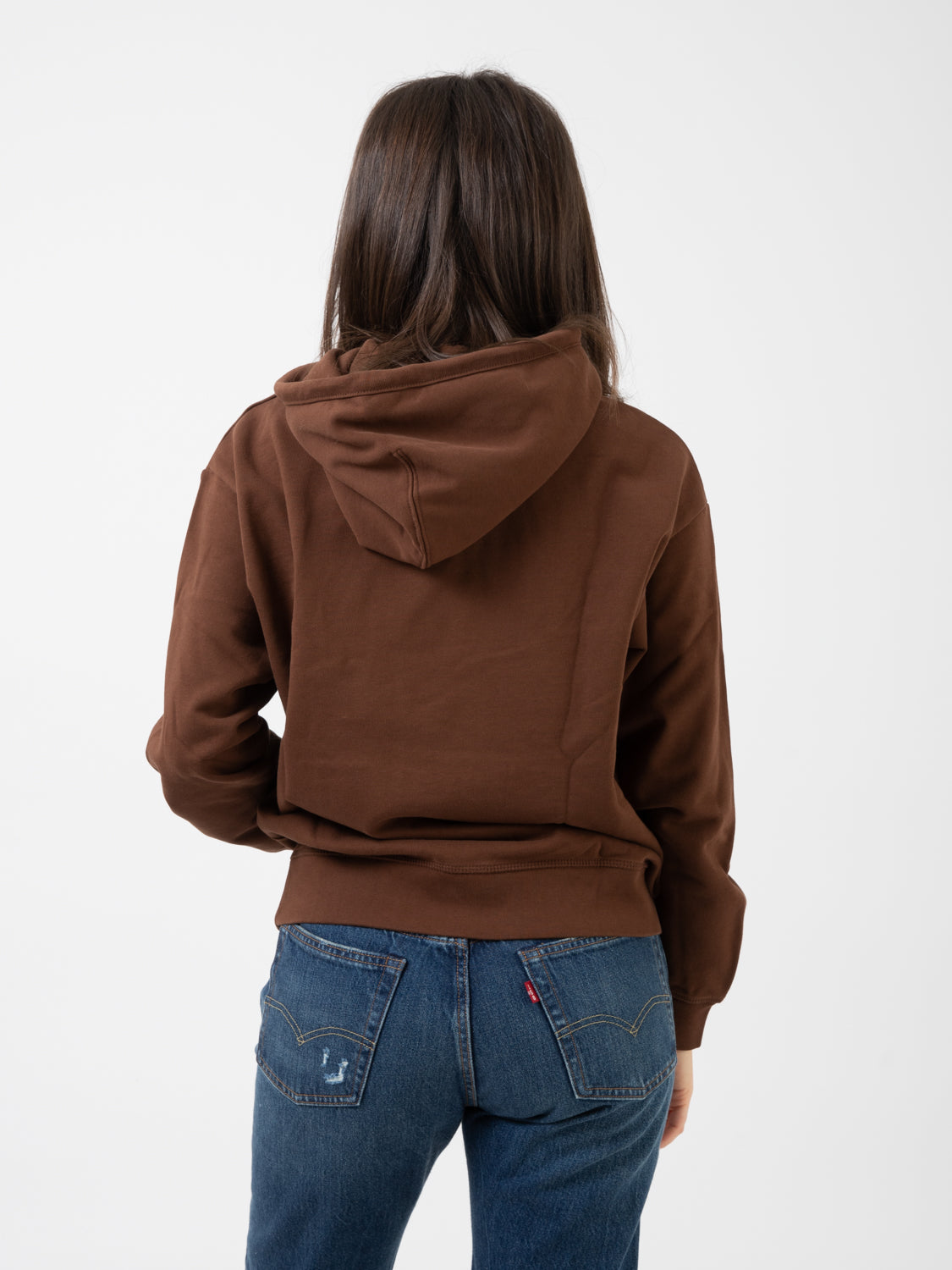 Felpa standard hoodie fondue fudge