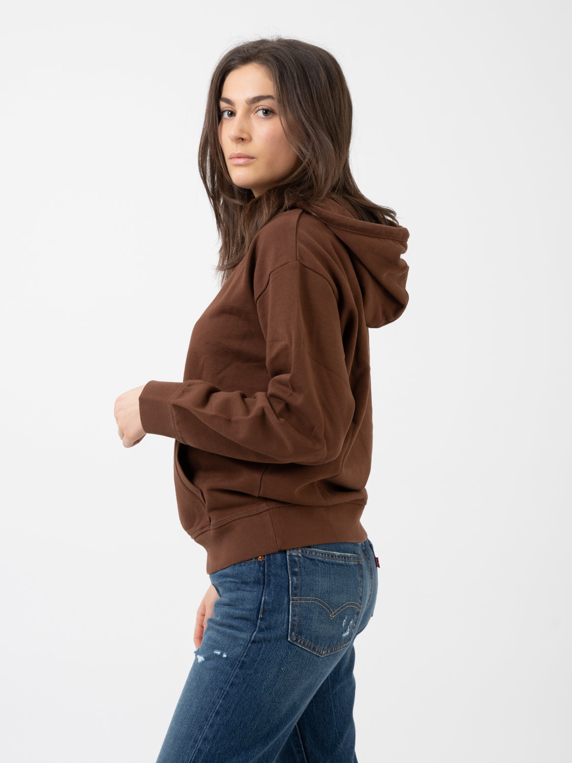 Felpa standard hoodie fondue fudge