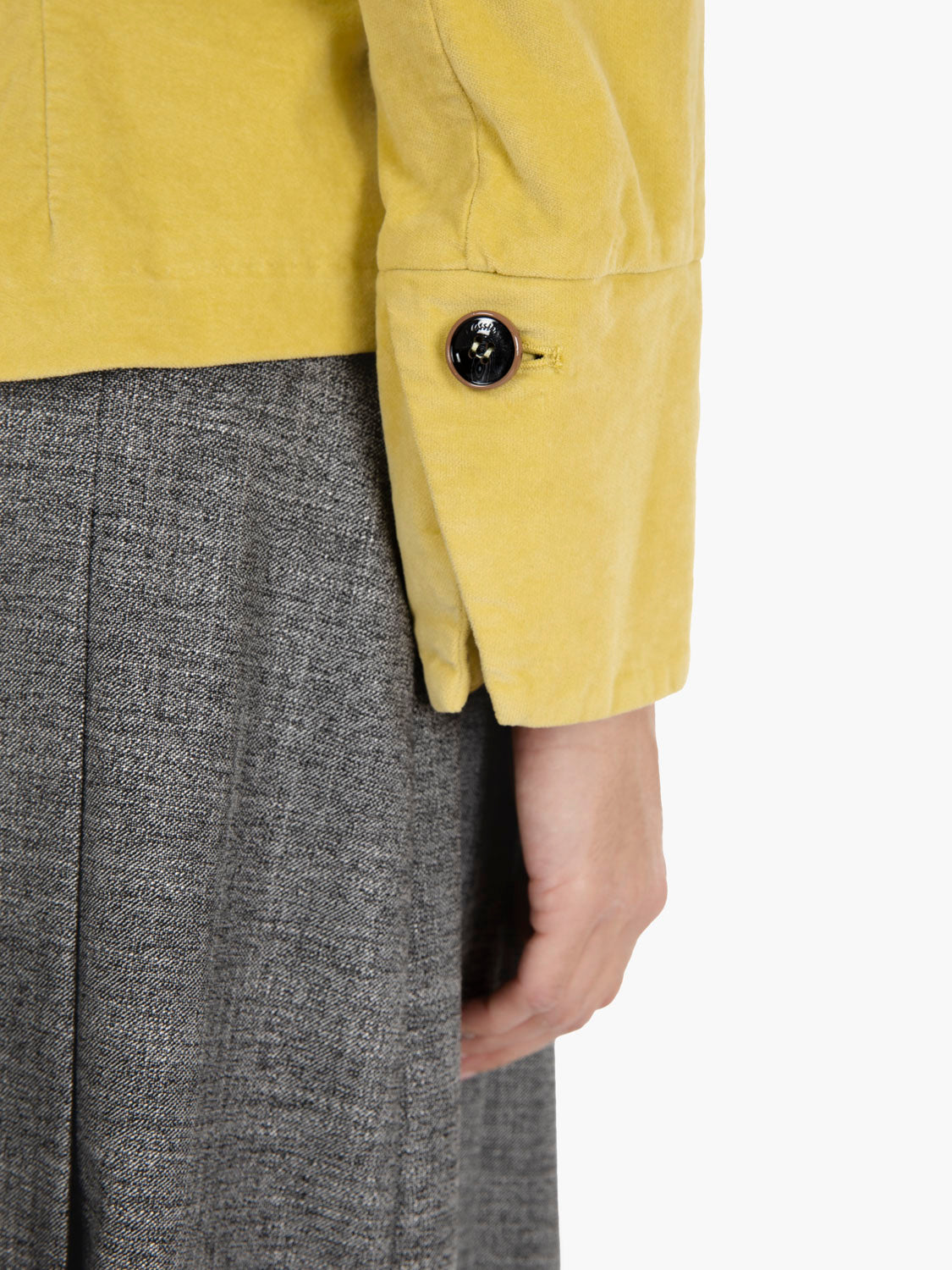 Cropped jacket in bingè velvet