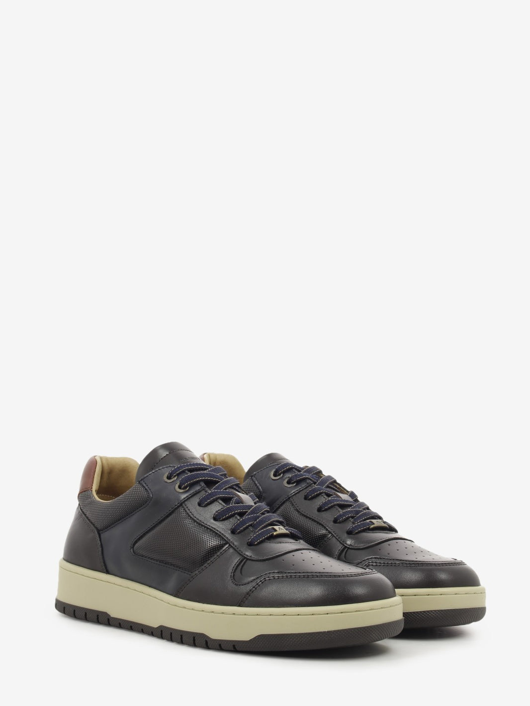 Scarpa casual Wood testa di moro / navy