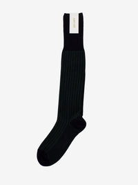 Calzino Lisca long navy / green