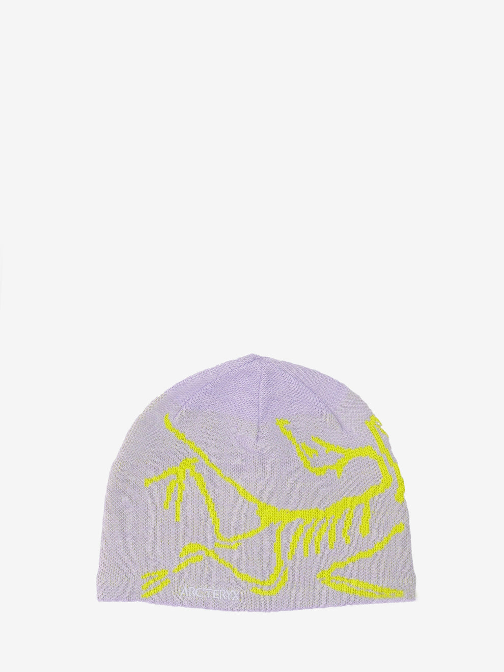 Bird Head Toque mallow / euphoria