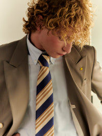 Blue / yellow striped tie