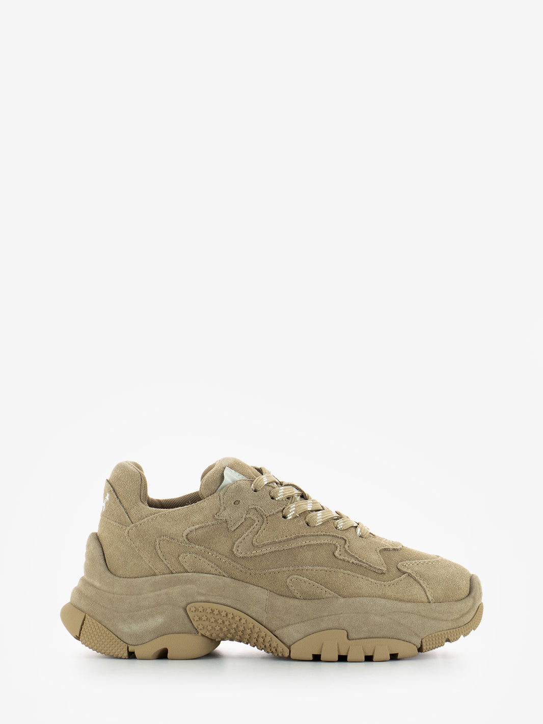 Sneakers calf suede noisette