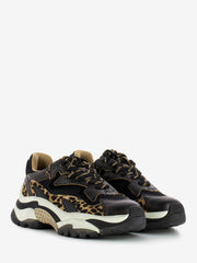 ASH - Sneakers Cycle Addict 04 black / leopard / brown